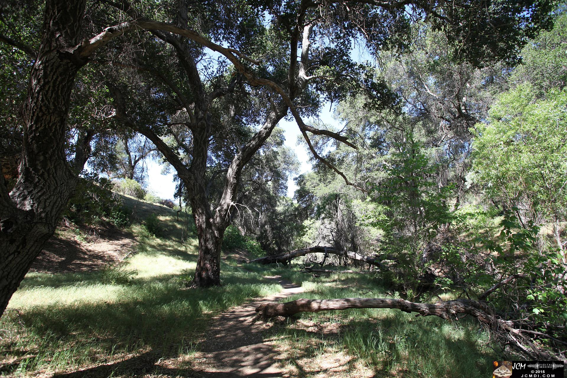 Whitney Canyon Hike fellen tree arch